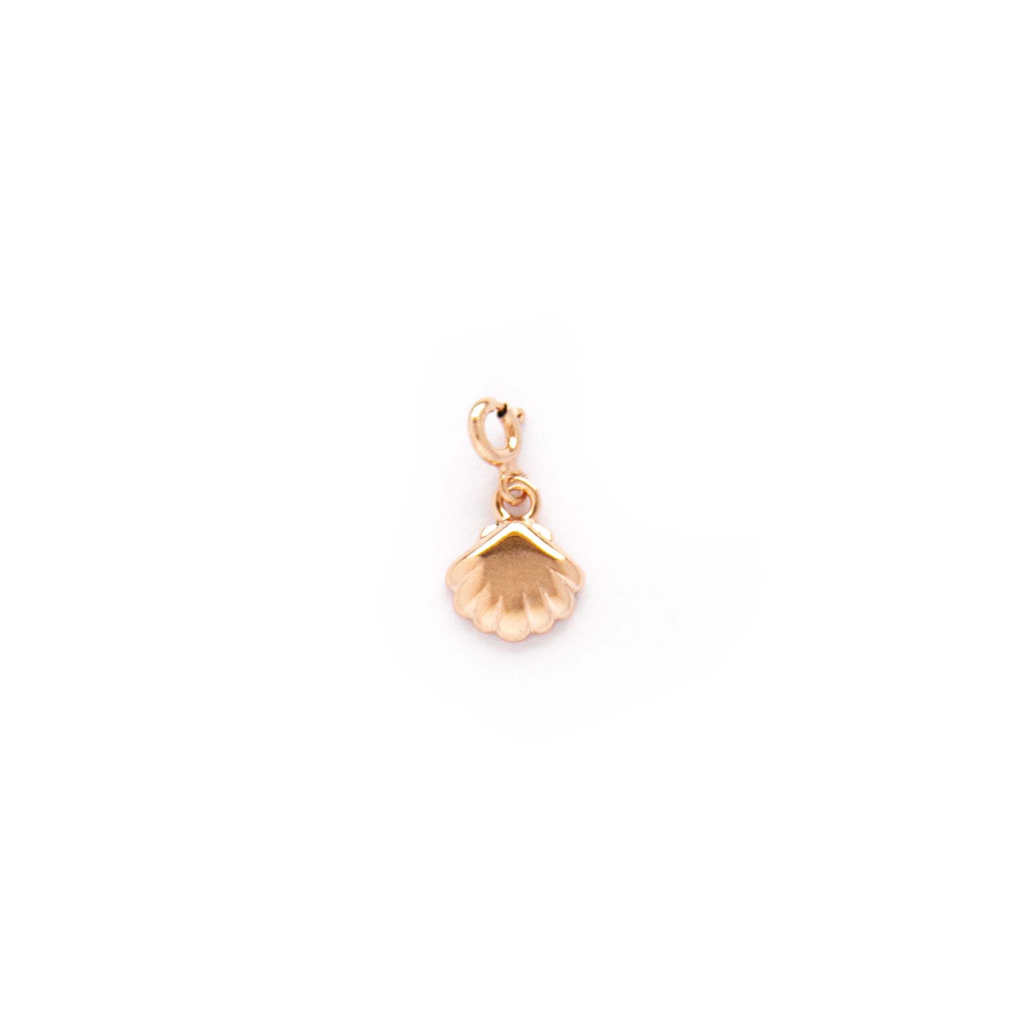 Pendant - Clam Silver, Gold or Rose Gold